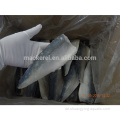 Chinesische Export gefrorene Fischmakrelenfilets